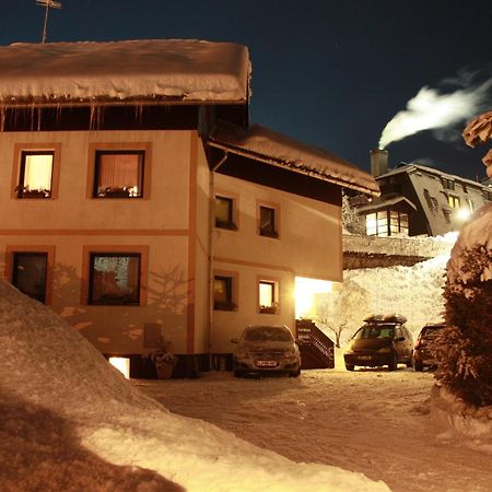 Vila Romana Кранська Гора Екстер'єр фото